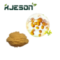 https://www.bossgoo.com/product-detail/organic-beverage-ingredient-sea-buckthorn-powder-62875727.html